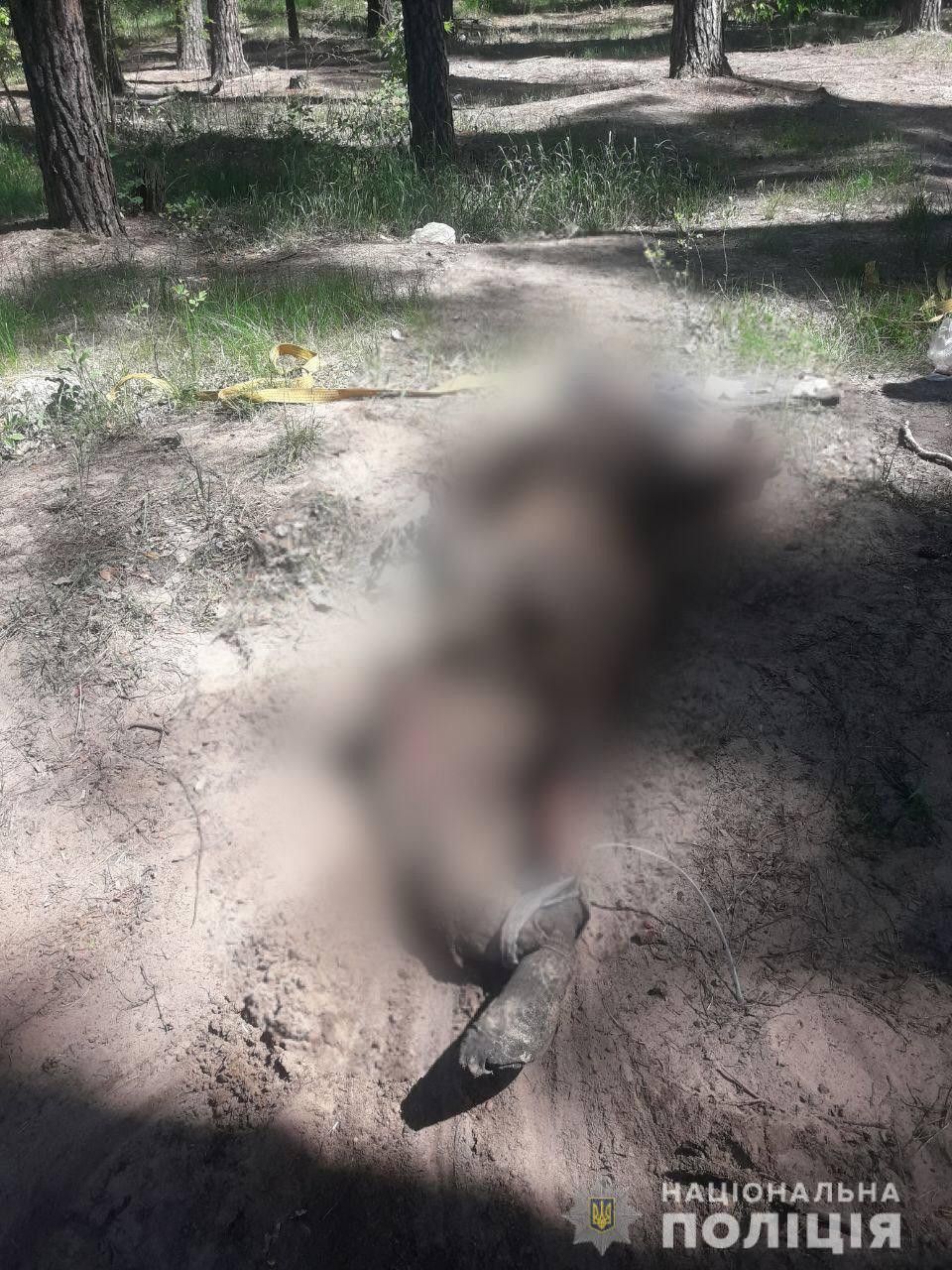 Зв’язаний і з заклеєними очима: на Київщині знайшли ще одне тіло вбитого окупантами мирного жителя - зображення