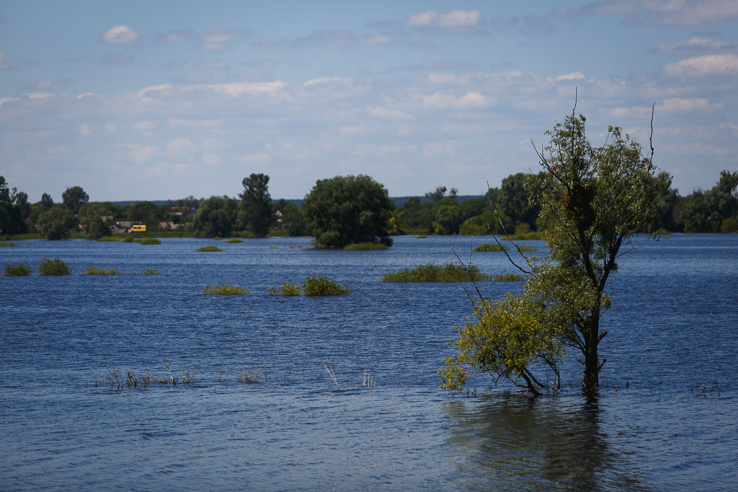 Як річка Ірпінь допомогла захистити Київ - зображення
