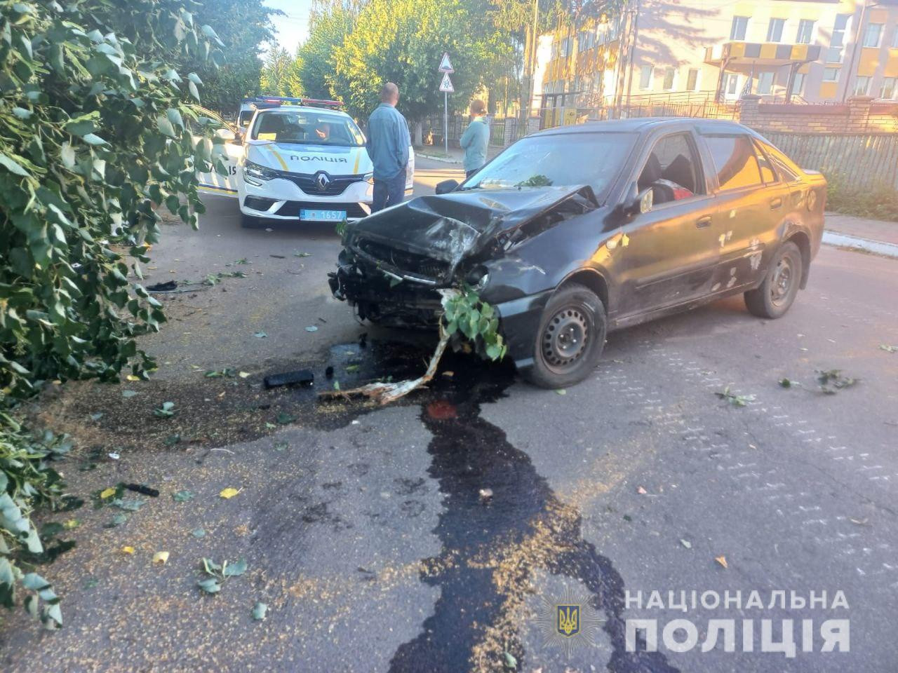 На Вишгородщині викрадач-невдаха на викраденому авто потрапив у ДТП - зображення