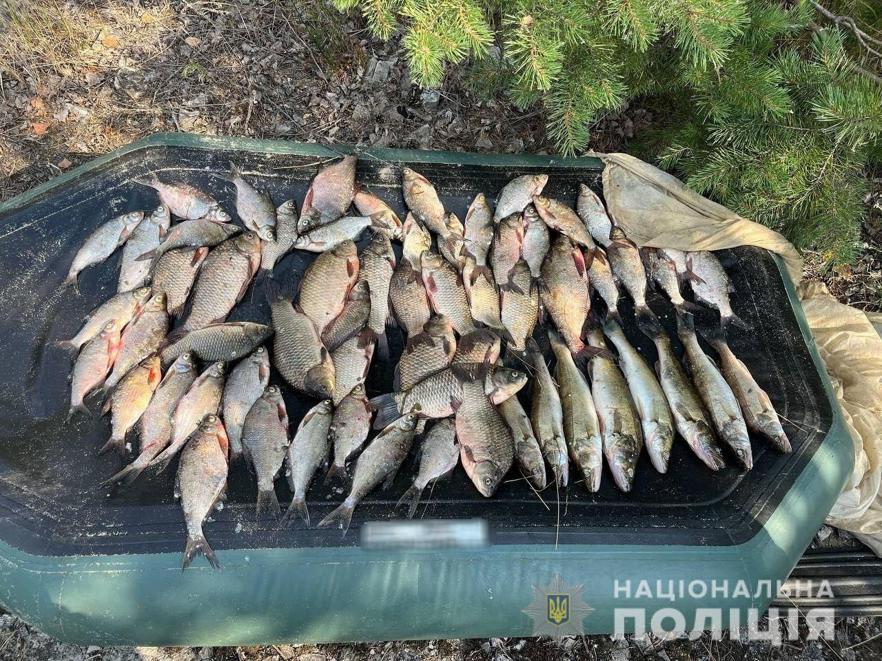 Наловив риби на 120 тис. грн.: на Вишгородщині зловили браконьєра - зображення