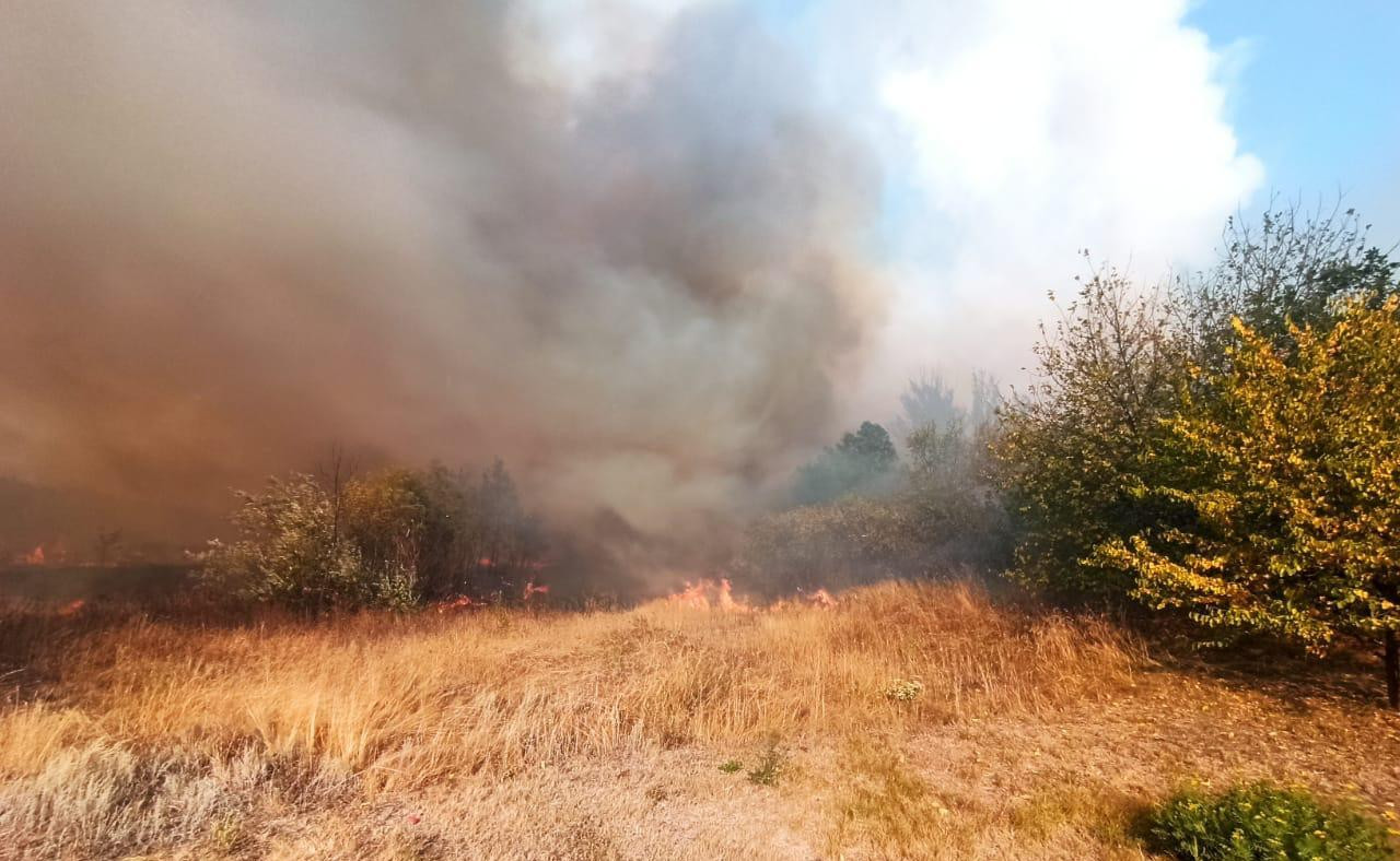Мешканців Київщини попередили про пожежну небезпеку - зображення
