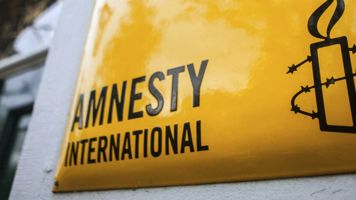 Оксана Покальчук: Скандальний звіт Amnesty International: український офіс не був долучений - зображення