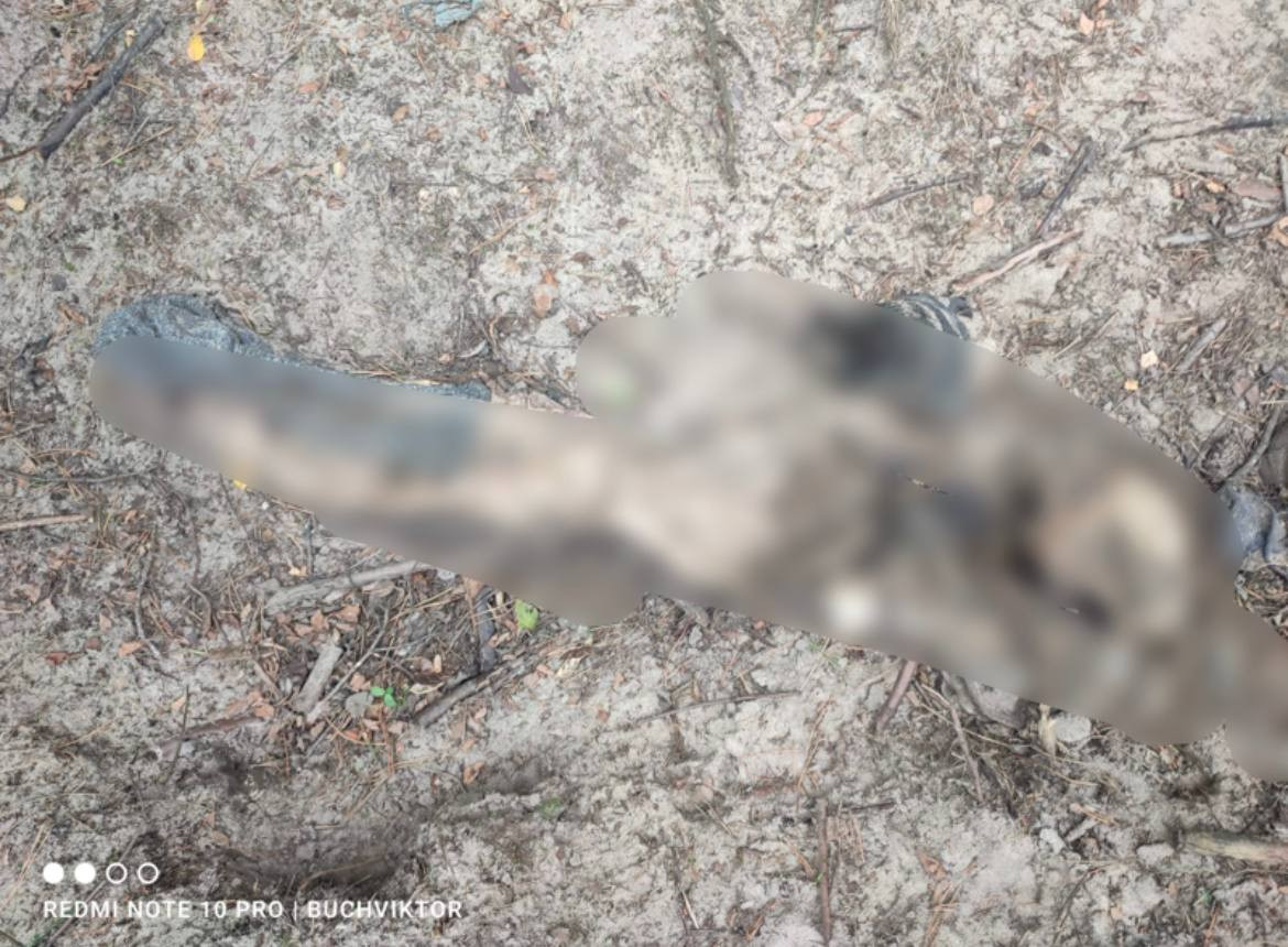 У Бучанському районі знайшли тіло ще одного вбитого окупантами чоловіка - зображення