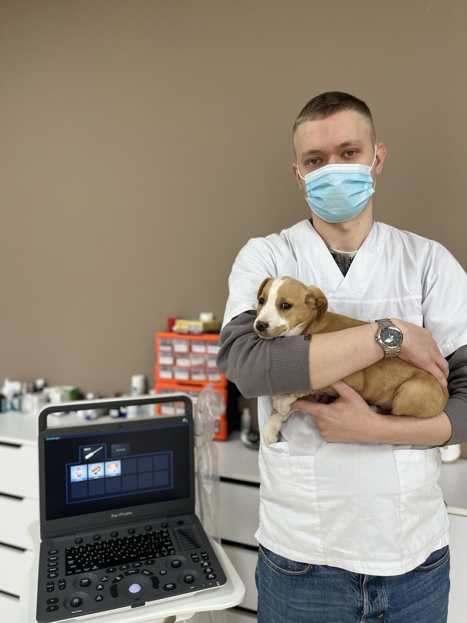 Ветеринарна клініка Golden Paw відновила свою роботу в Гостомелі - зображення