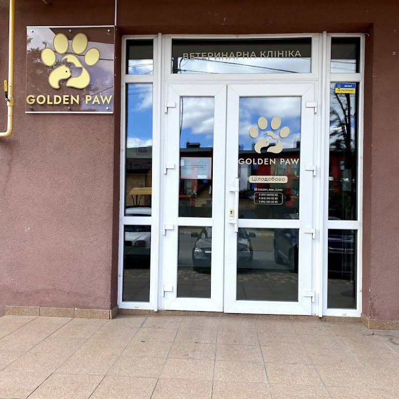 Ветеринарна клініка Golden Paw відновила свою роботу в Гостомелі - зображення