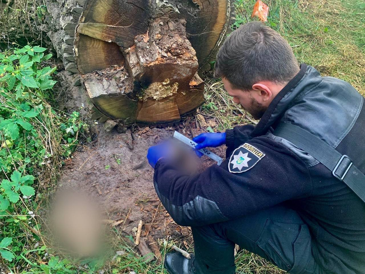 У Бучанському районі знайшли останки ще однієї вбитої окупантами людини - зображення