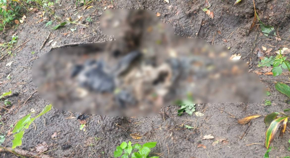 Біля Ворзеля знайшли тіла ще двох жертв російської агресії - зображення