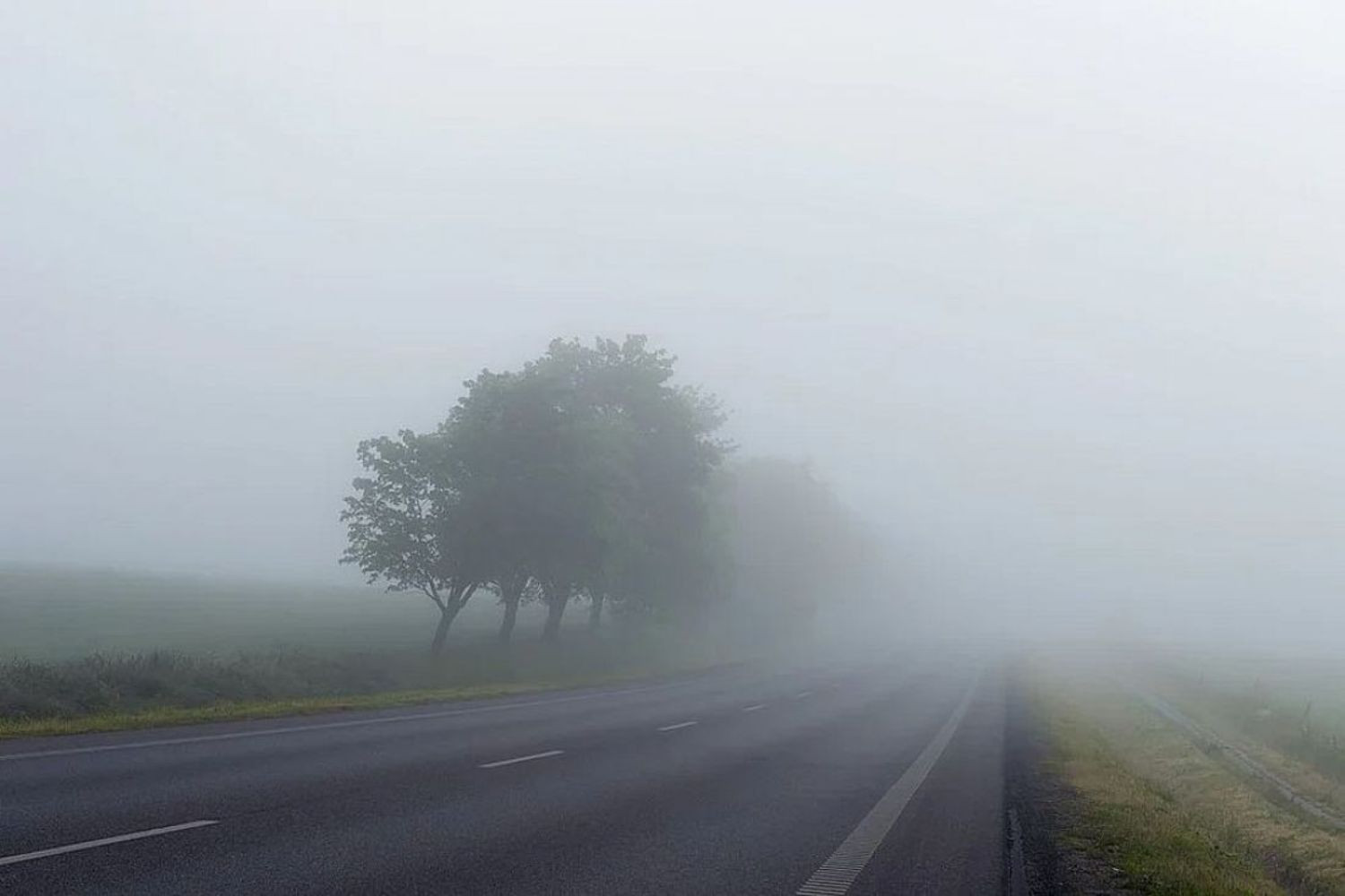 30 вересня Київщину знову накриє туман: оголошено І рівень небезпеки - зображення