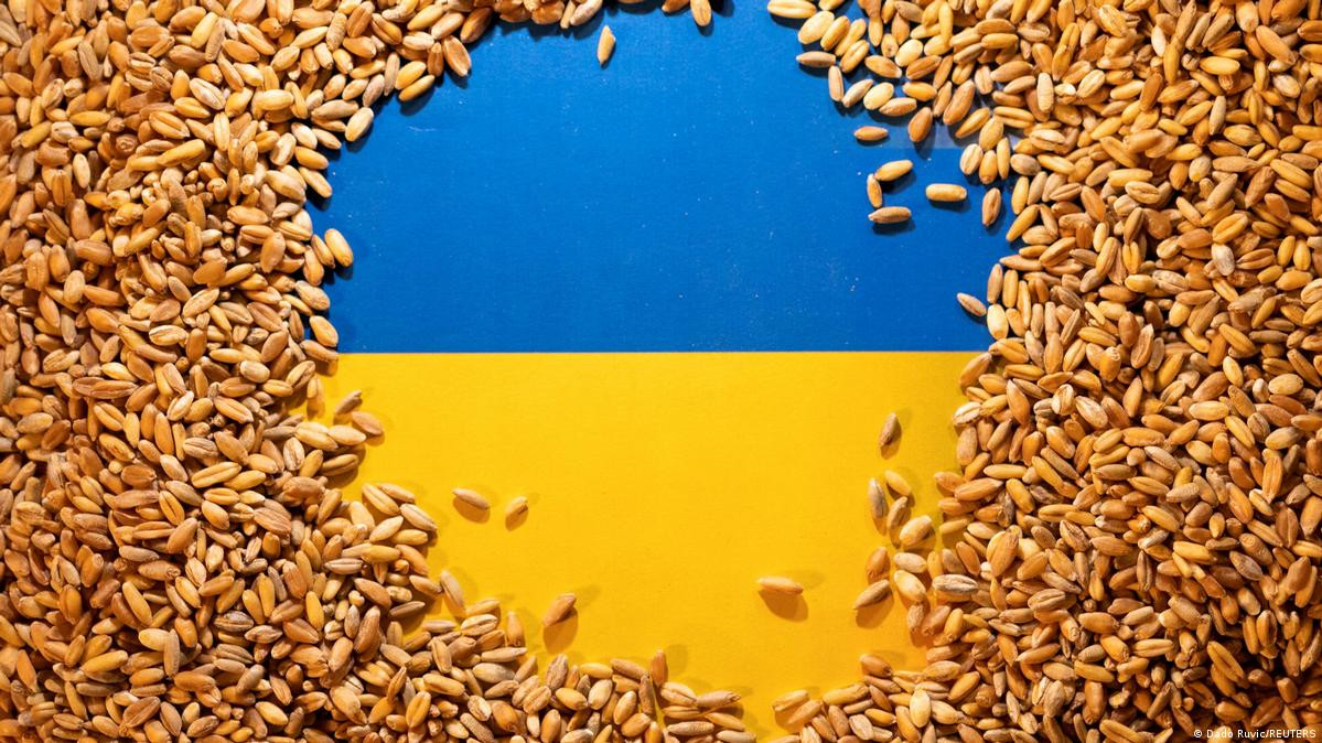 Україна відправила морем вже 10 млн тонн зерна - зображення