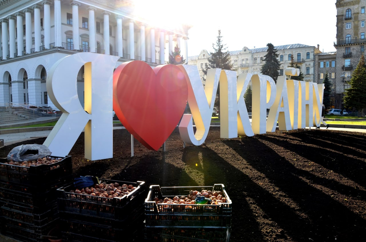 У Києві висадили тюльпани, подаровані Нідерландами - зображення