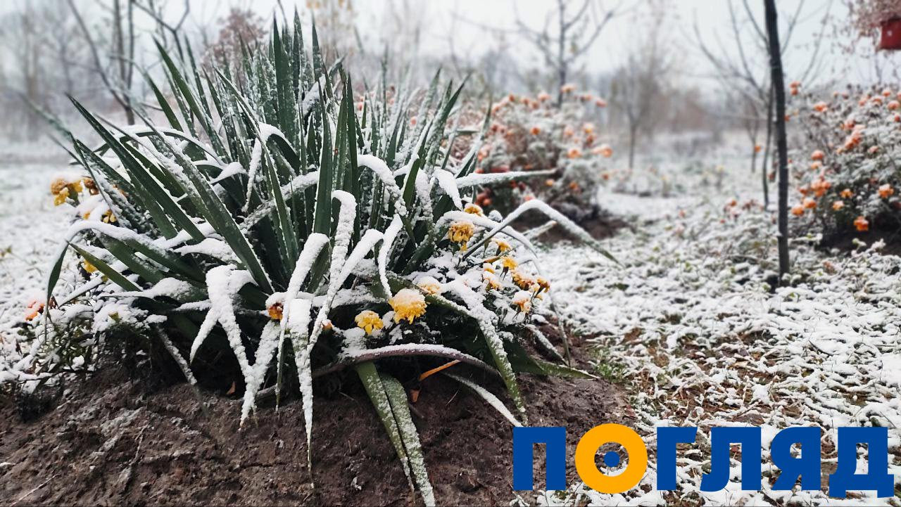 На Київщині випав перший сніг: ФОТО - зображення