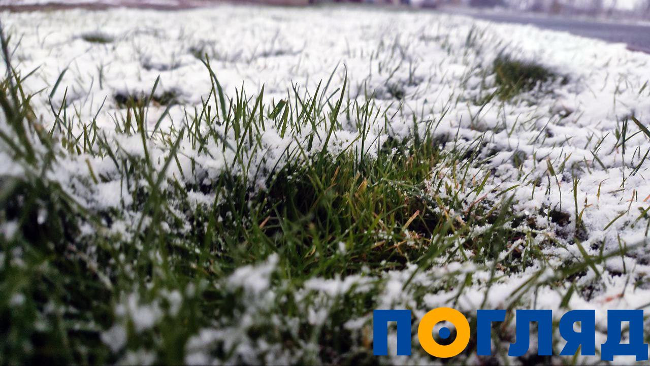 На Київщині випав перший сніг: ФОТО - 2 - зображення
