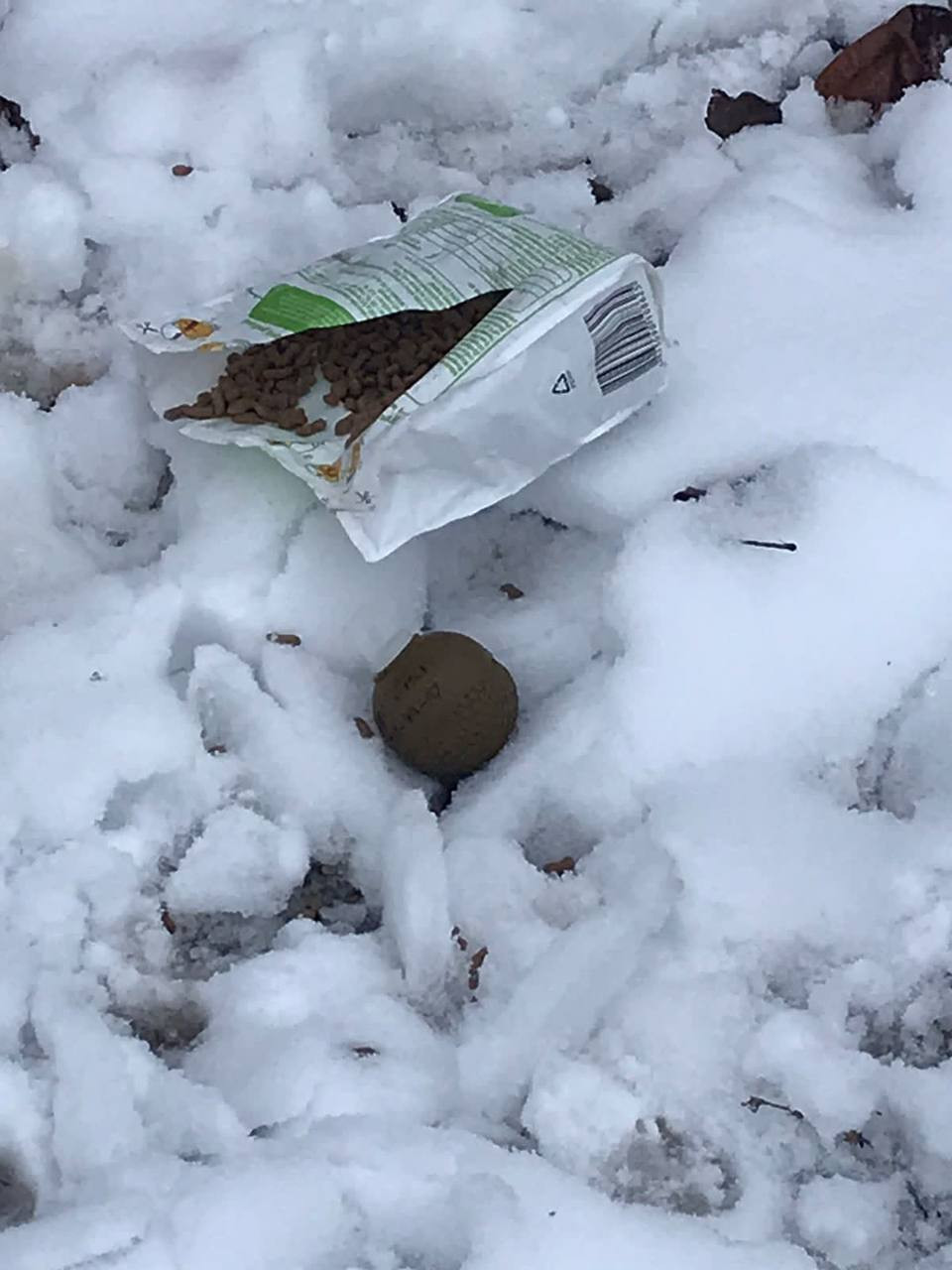Посеред вулиці в Бучі під пакетом з кормом знайшли гранату - зображення