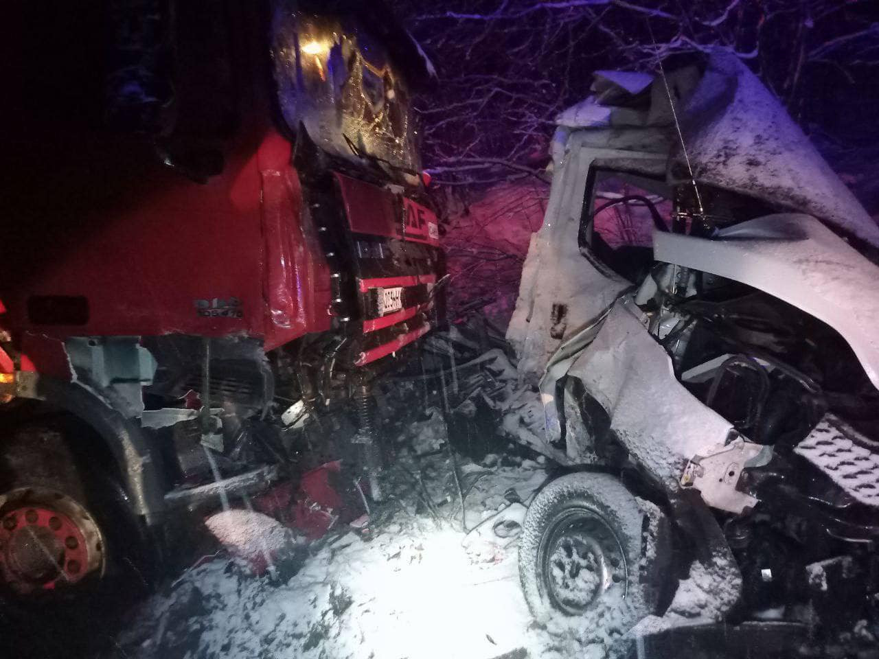 У Бучанському районі сталася смертельна ДТП: зіткнулися лісовоз та вантажівка - зображення