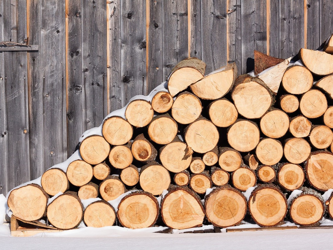 Україна заготовили рекордний запас дров - зображення