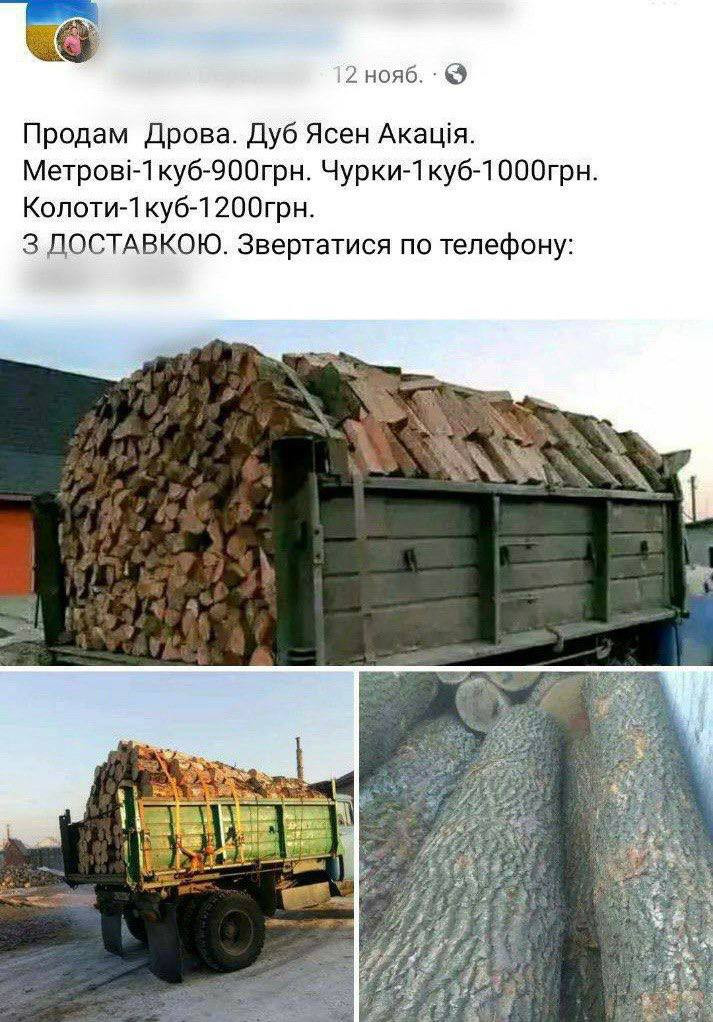 На Київщині спіймали шахраїв, які ошукували людей під приводом продажу дров у соціальних мережах - зображення