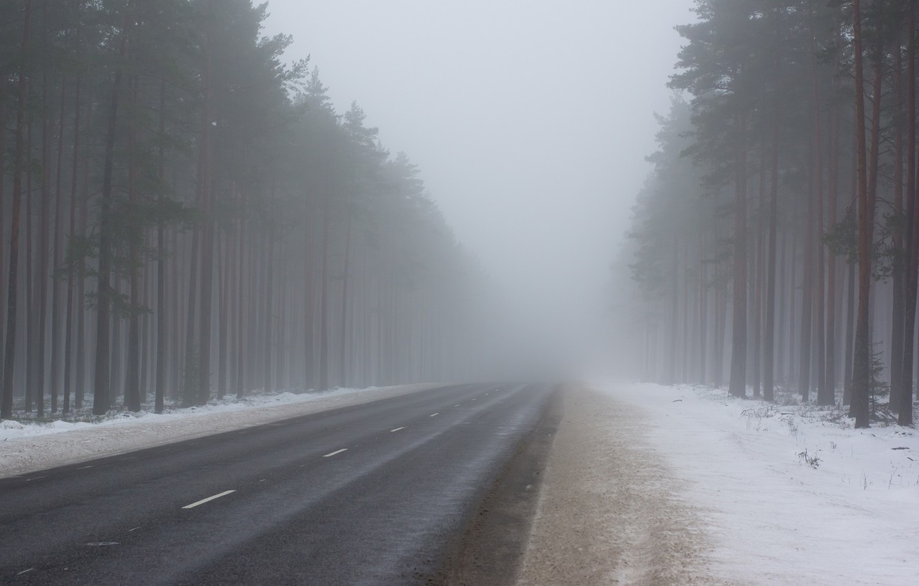Туман та ожеледиця: у Київській області оголошено І рівень погодної небезпеки - зображення