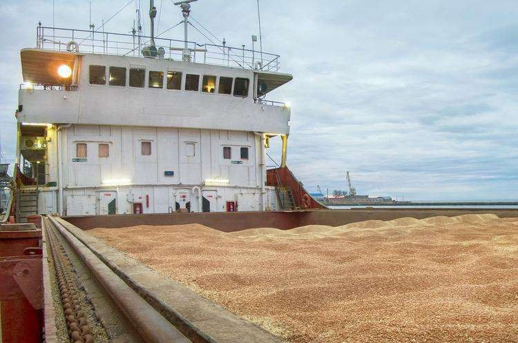 Україна збільшила експорт зерна з морських портів - зображення