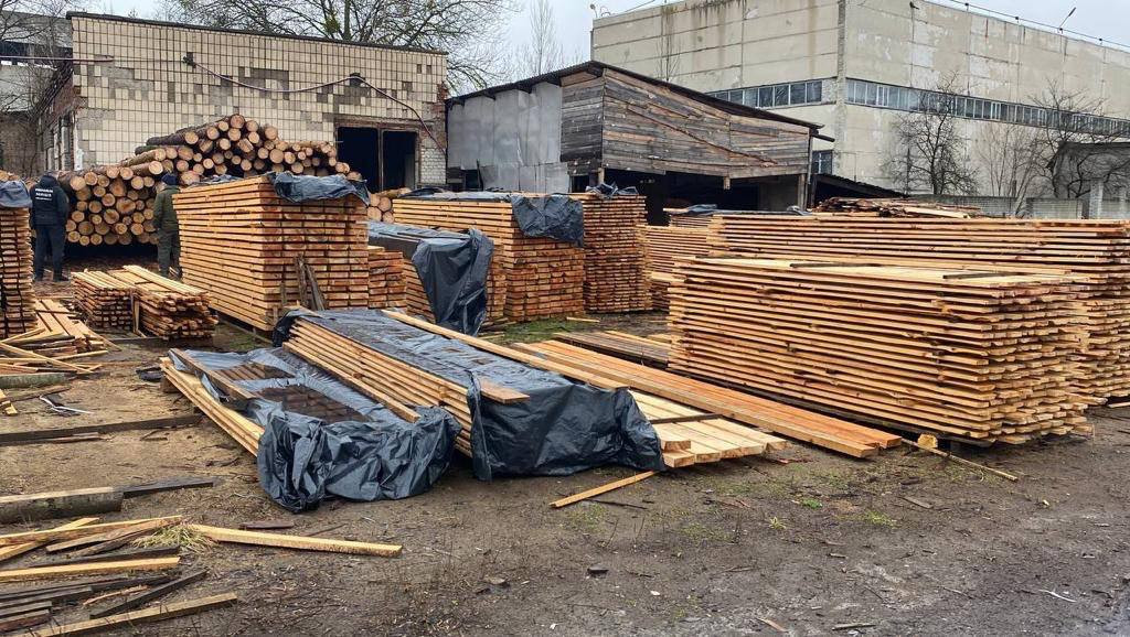 На Київщині викрили масштабну схему збуту деревини: нарубали на 4 млн грн - зображення