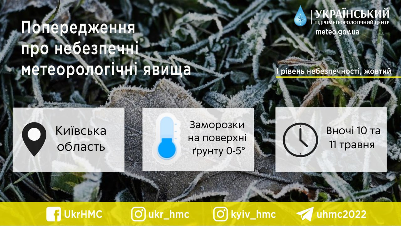 У Київській області очікуються заморозки, температура впаде до -5° - зображення