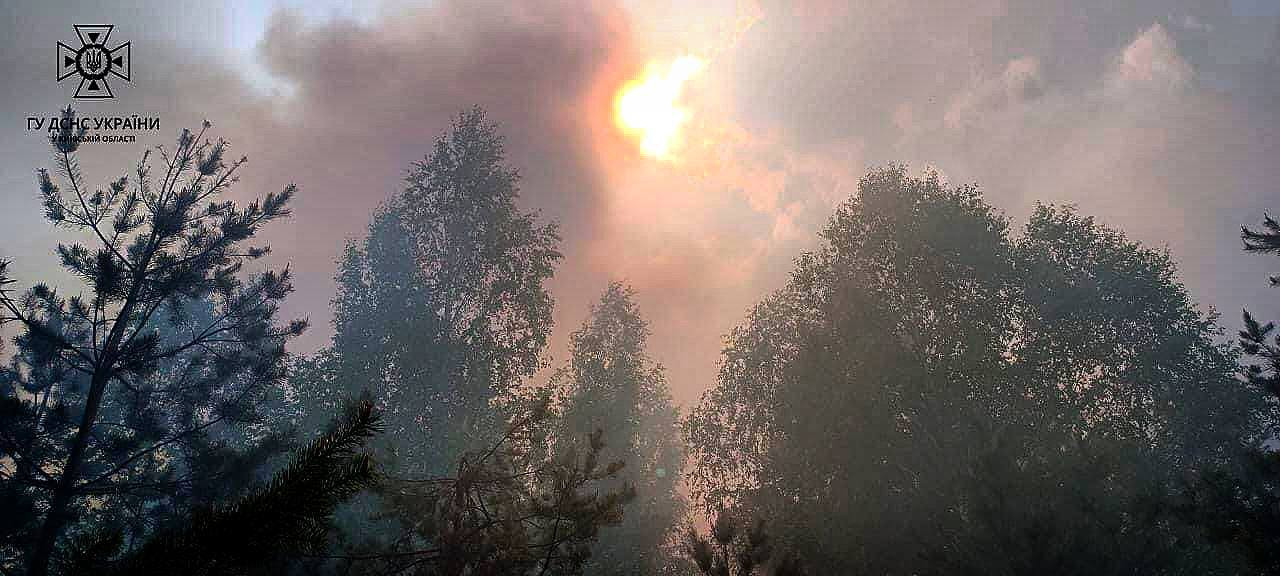 У Вишгородсьому районі загасили масштабну лісову пожежу - 1 - зображення
