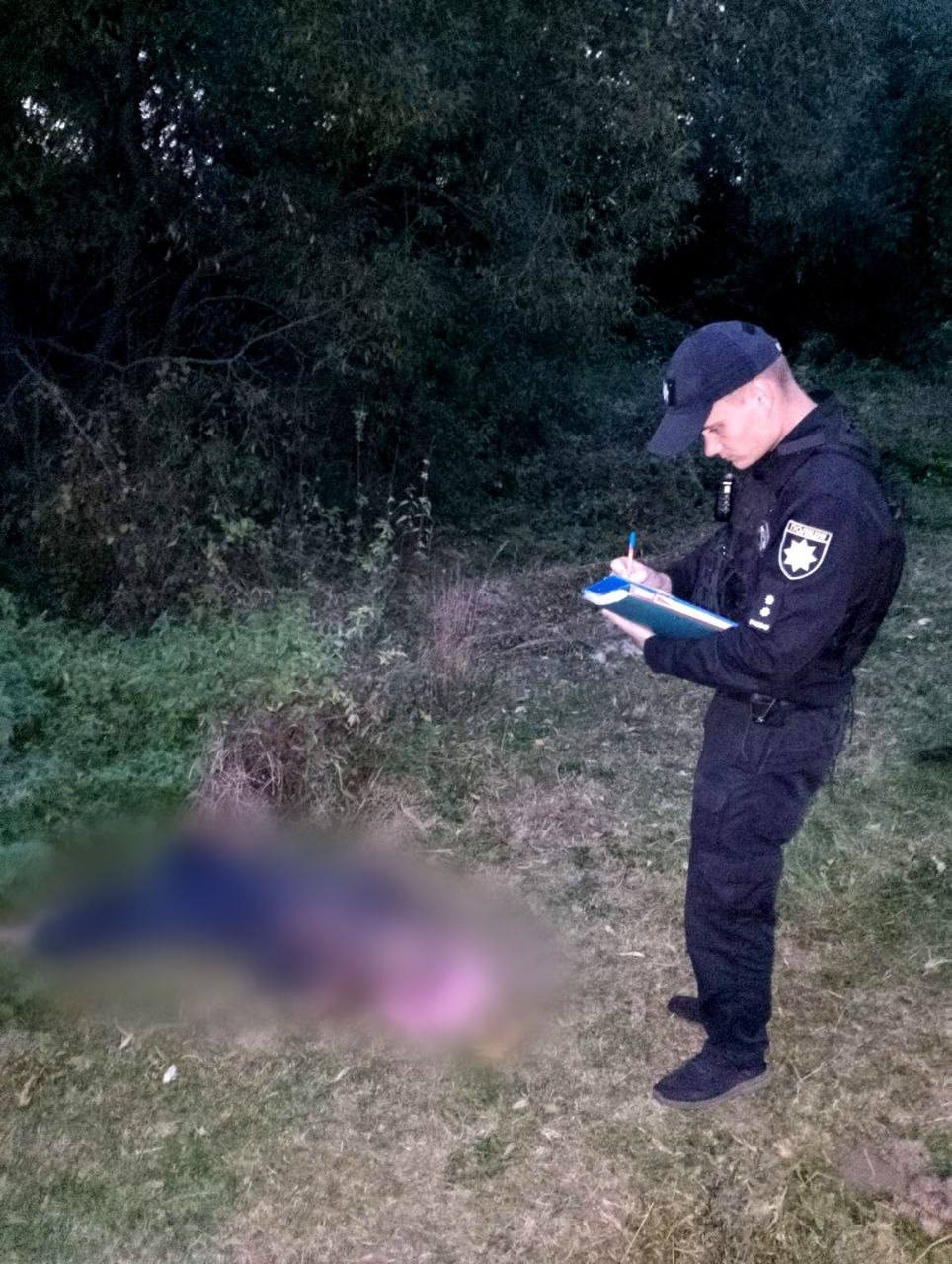 На Київщині чоловік помер через напад шершнів - зображення