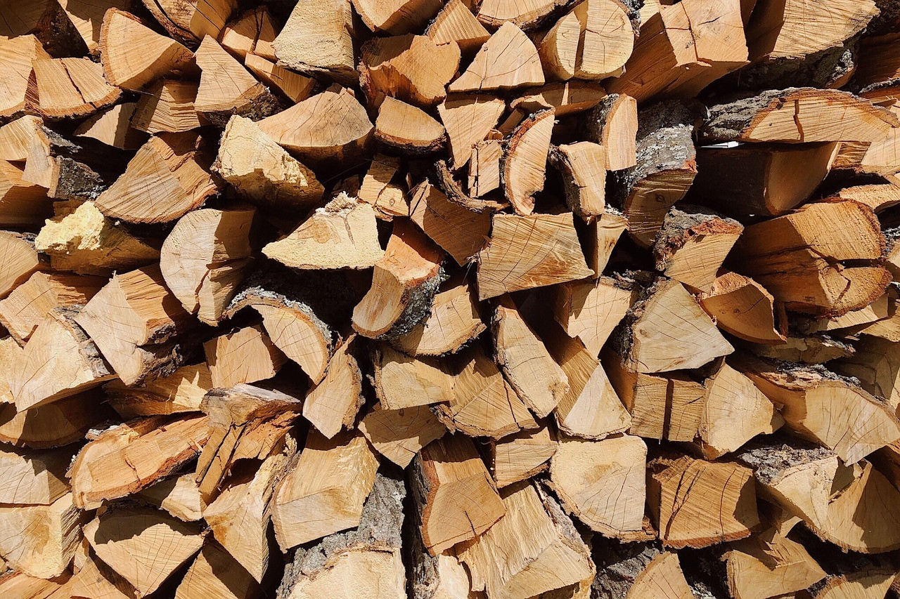 В Ірпінській громаді безкоштовно даватимуть дрова для пільгових категорій осіб - зображення