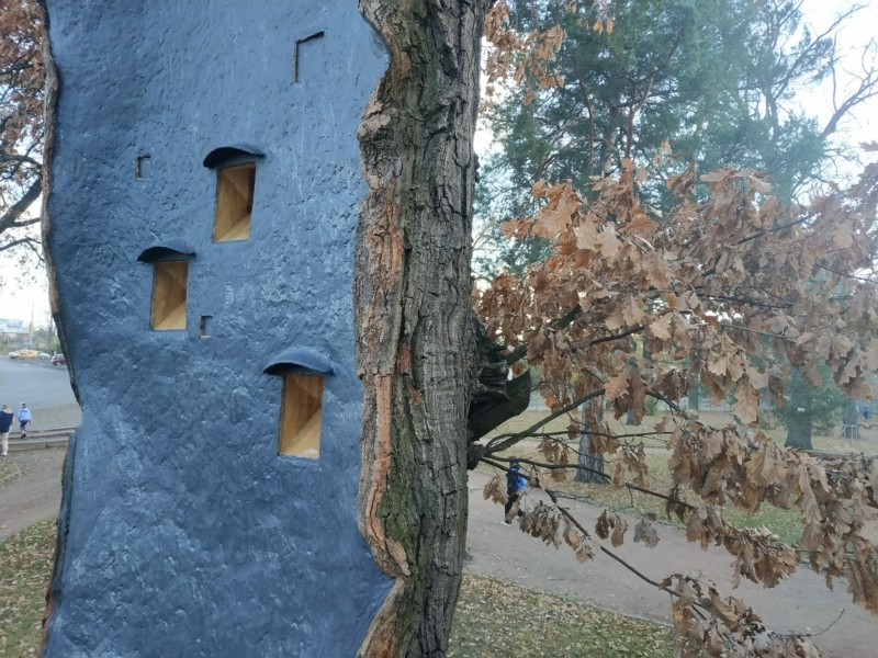 Віковий дуб на Київщині отримав друге життя і слугуватиме будиночком для птахів і кажанів - зображення