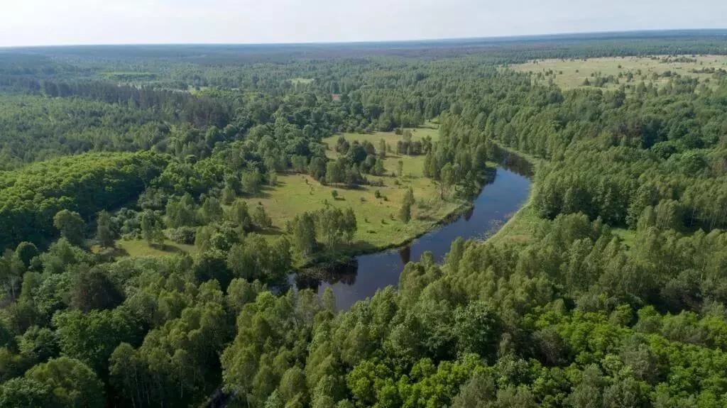 На Київщині побільшало об’єктів природно-заповідного фонду - зображення