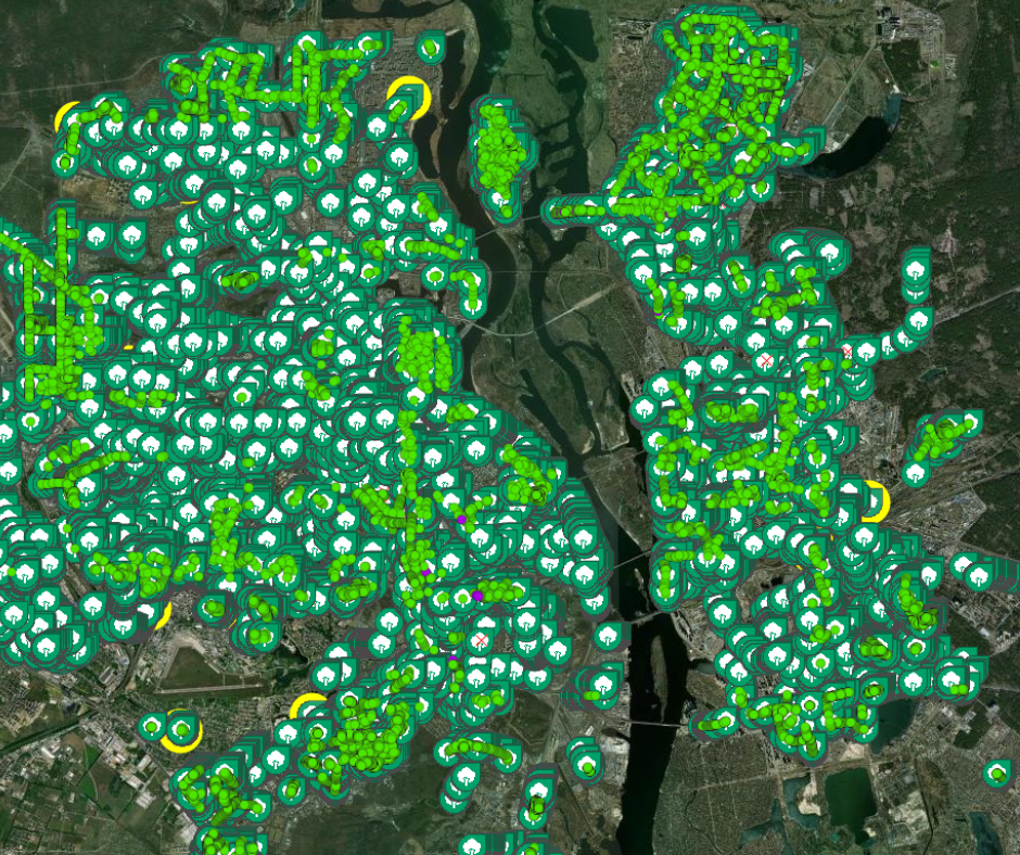 У Києві створюють онлайн-мапу дерев: вже 