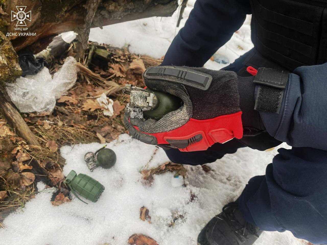 На Київщині в лісі чоловік знайшов три ручні гранати - зображення
