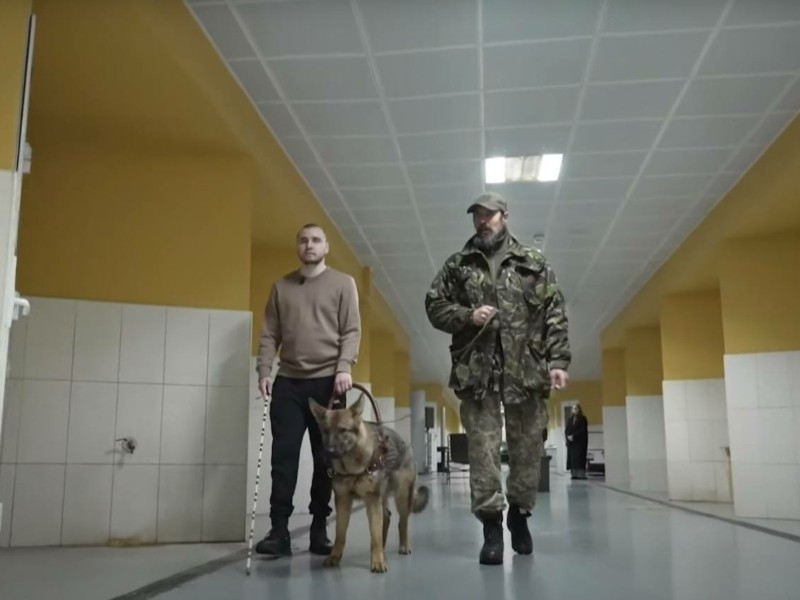 У колишній резиденції Януковича тренують собак для ЗСУ та допомоги людям - зображення