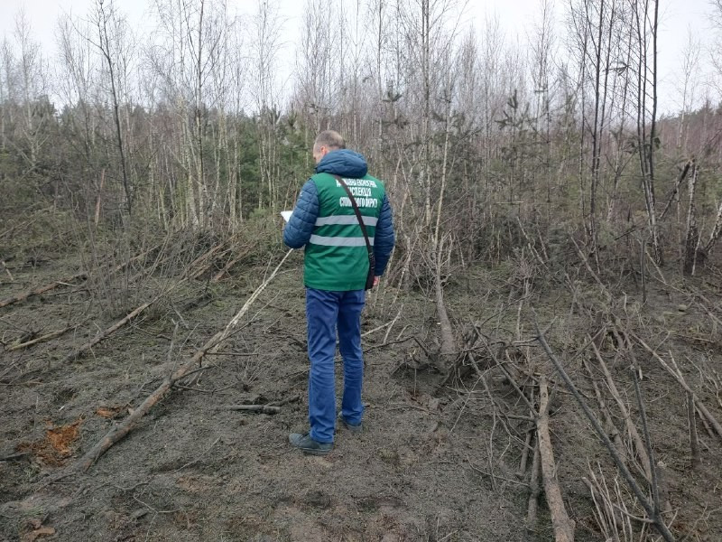 Екологи вивчають, якої шкоди завдала довкіллю величезна вирва на Київщині - зображення