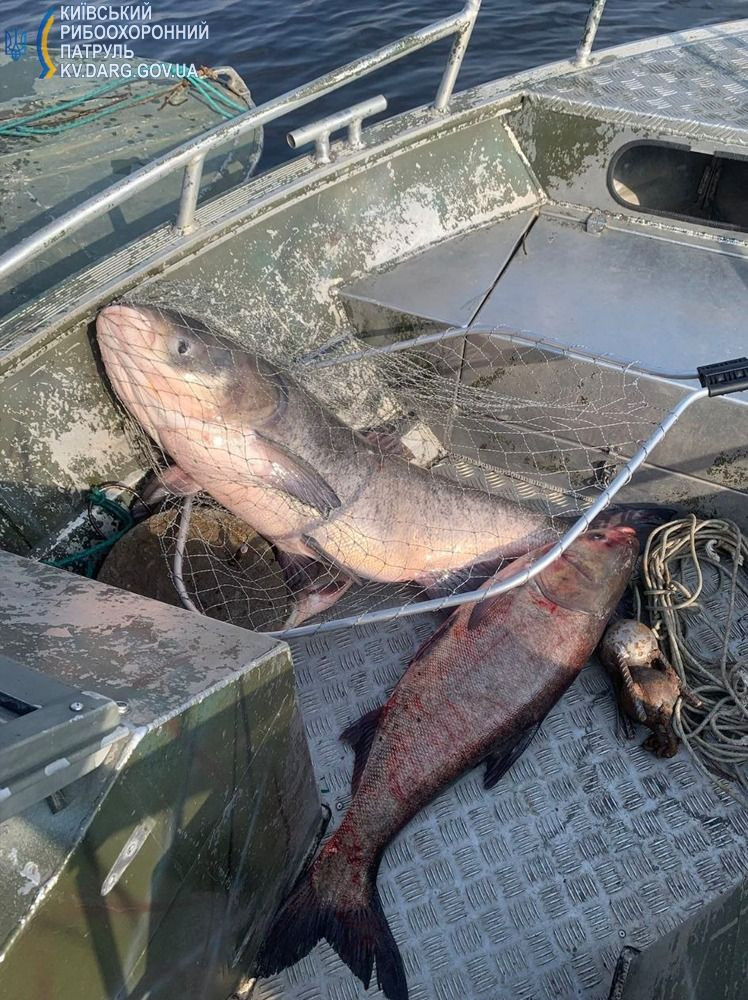 На Київщині браконьєри наловили риби на понад мільйон гривень - зображення