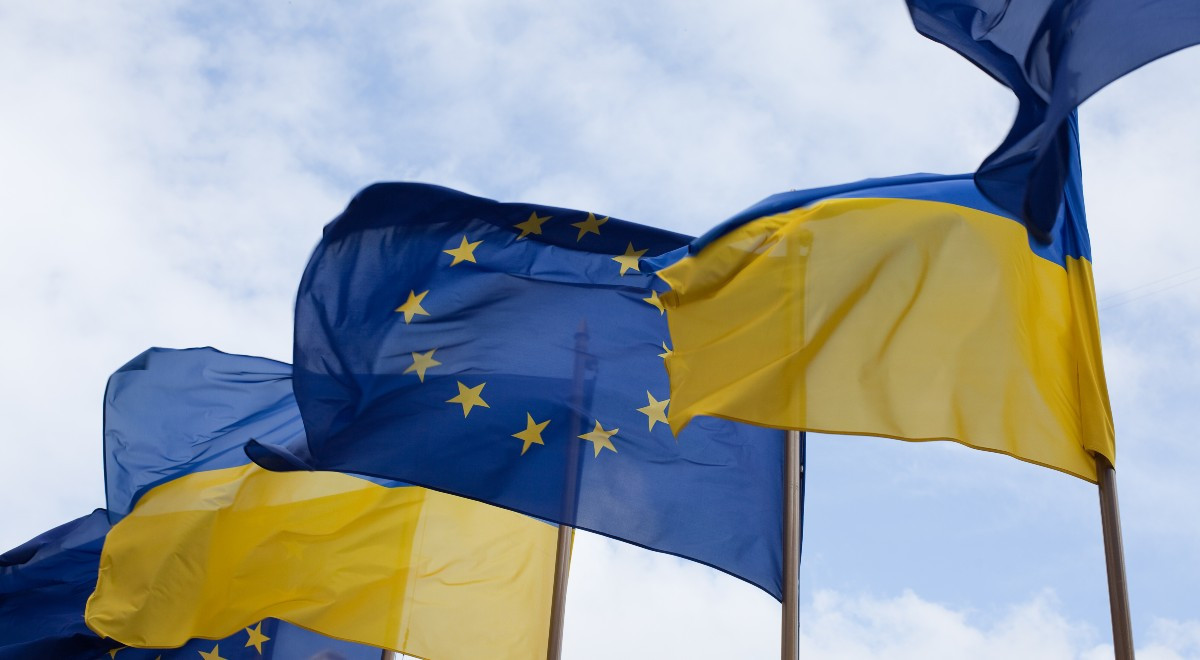 Лариса Пильгун: Яка буде підтримки України з боку ЄС - зображення