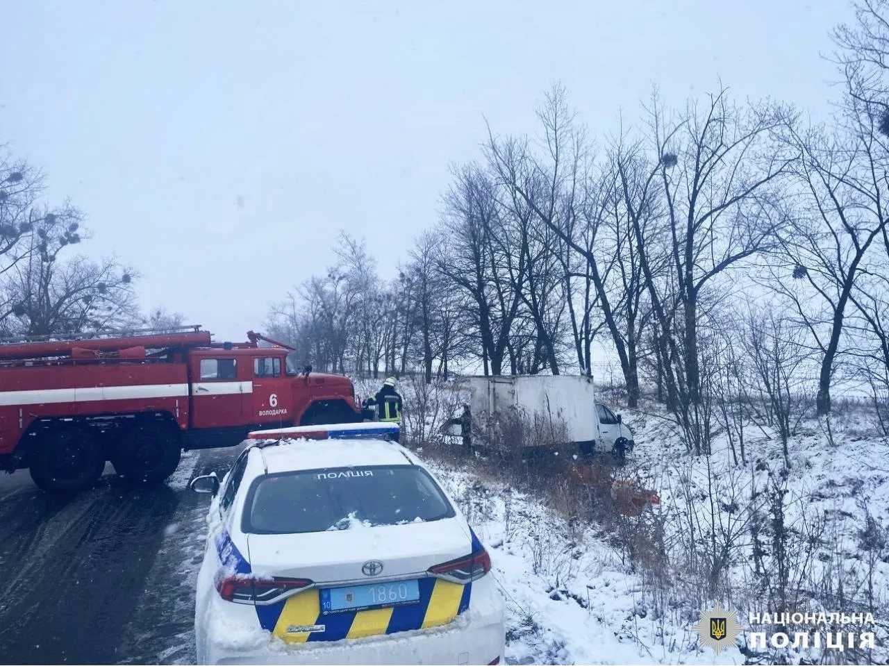 На Київщині вантажівка через косулю вилетіла в кювет та перекинулась - зображення
