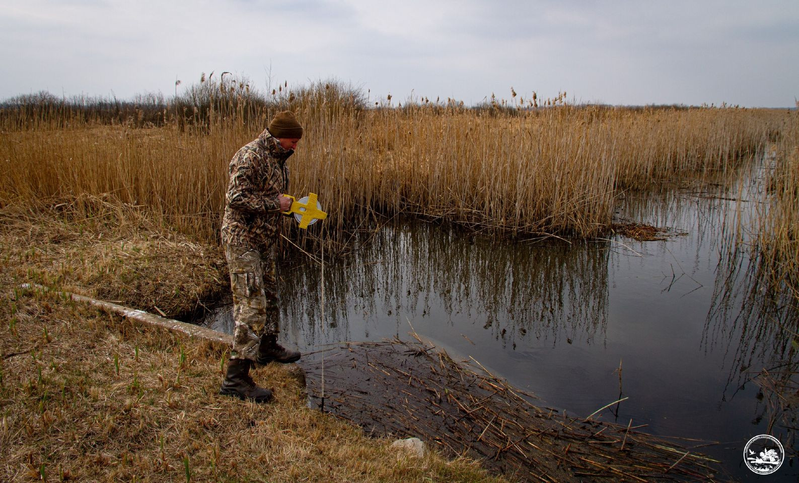 У Чорнобильському заповіднику хочуть відновити болота - зображення