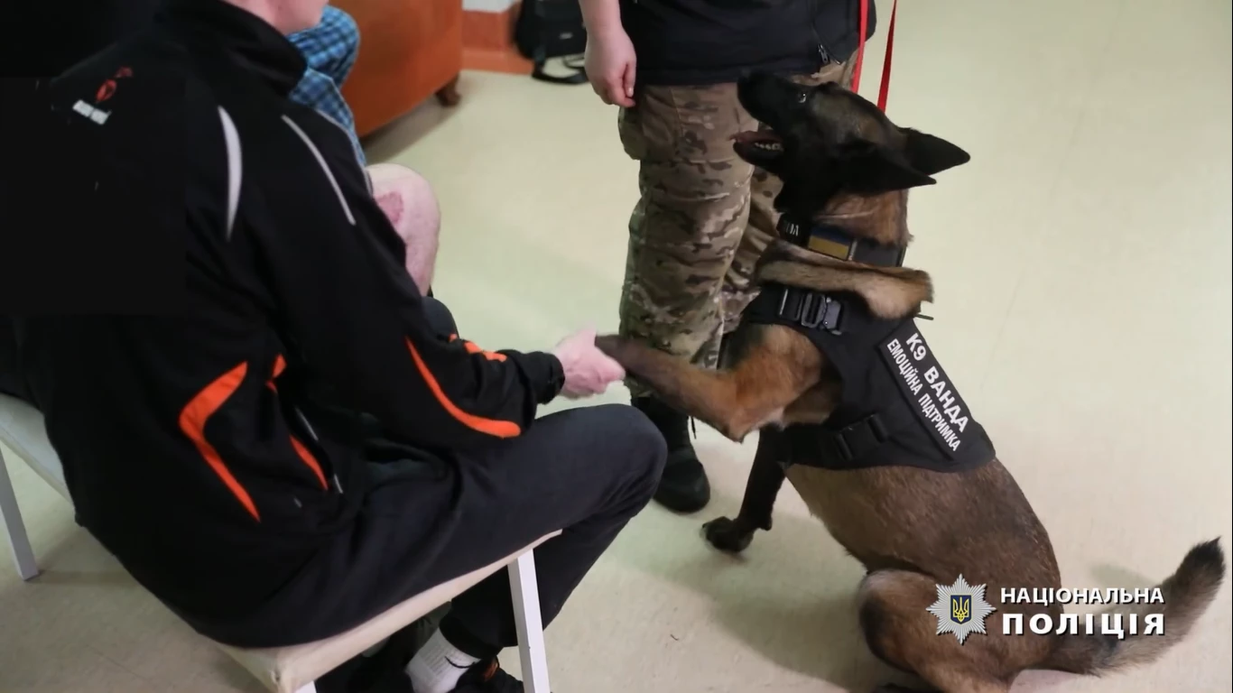 Собаки з кінологічного центру поліції Київщини допомагають у реабілітації військових - зображення