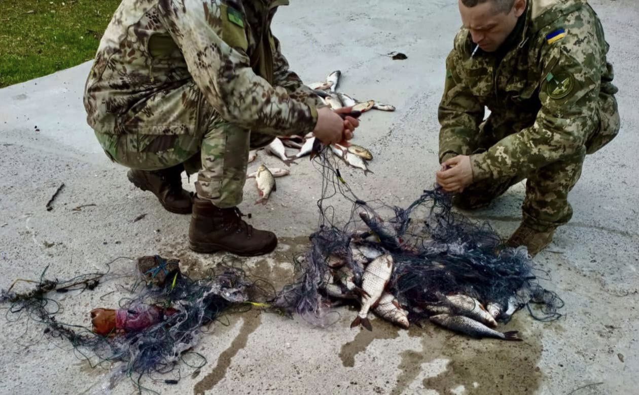 На Броварщині затримали рибного браконьєра - зображення