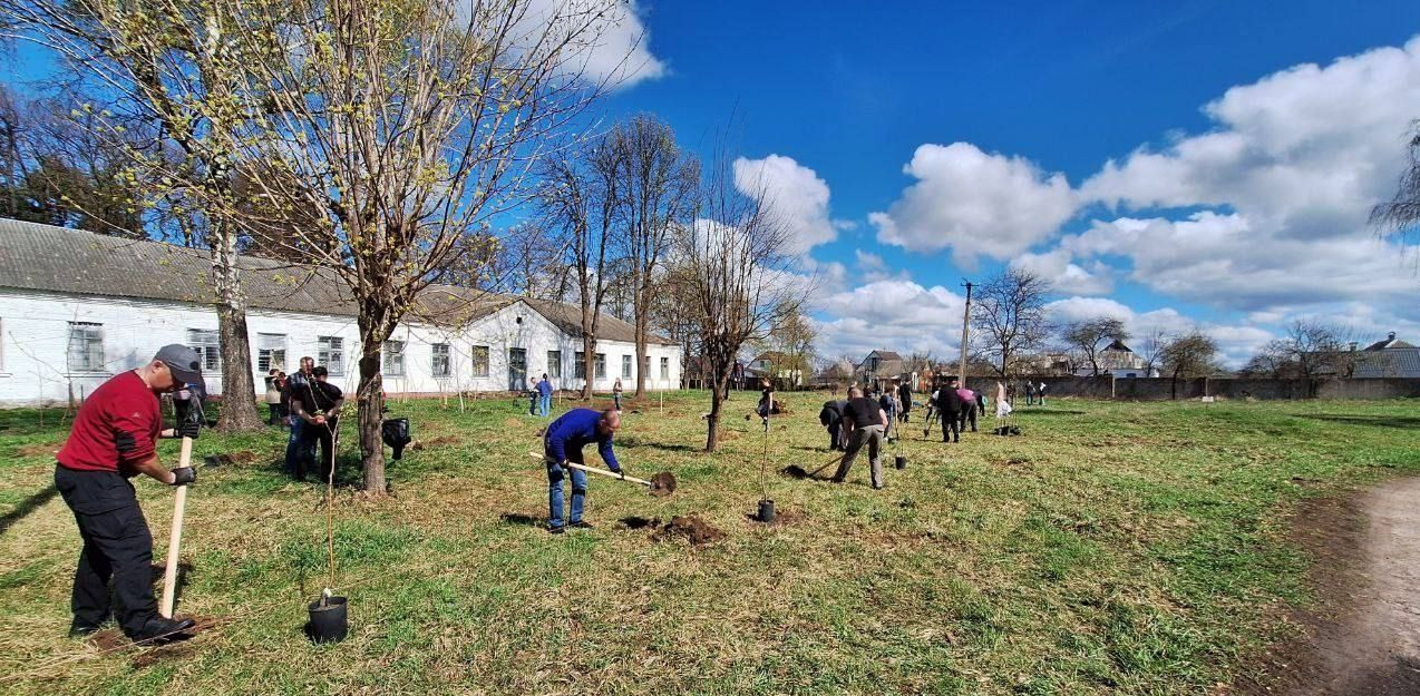 У Макарові разом з Послом Канади в Україні висадили 100 дерев - зображення