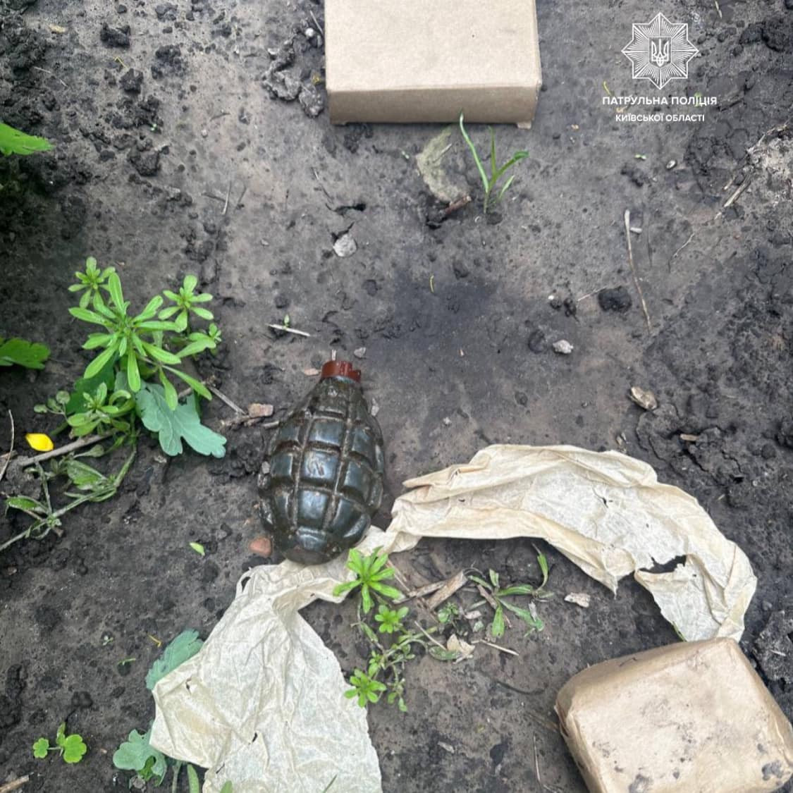 У Борисполі в клумбі перед будинком жінка знайшла набої та гранату - зображення