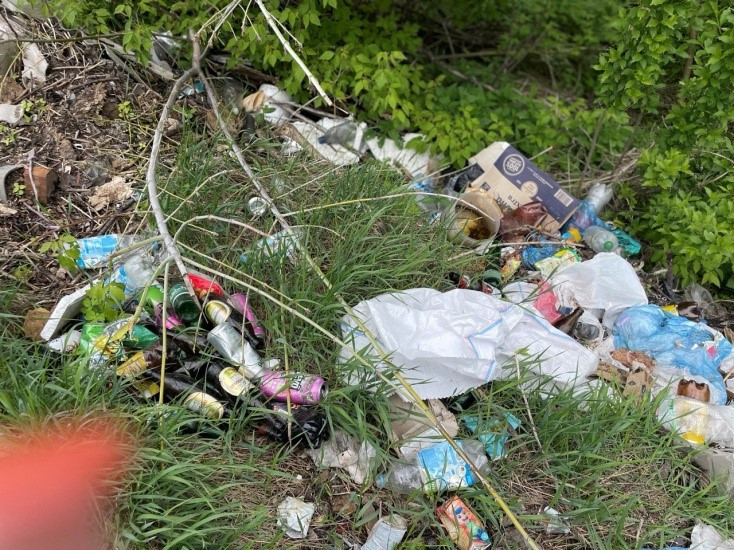 На території Обухівської громади виявили десятки стихійних звалищ - зображення