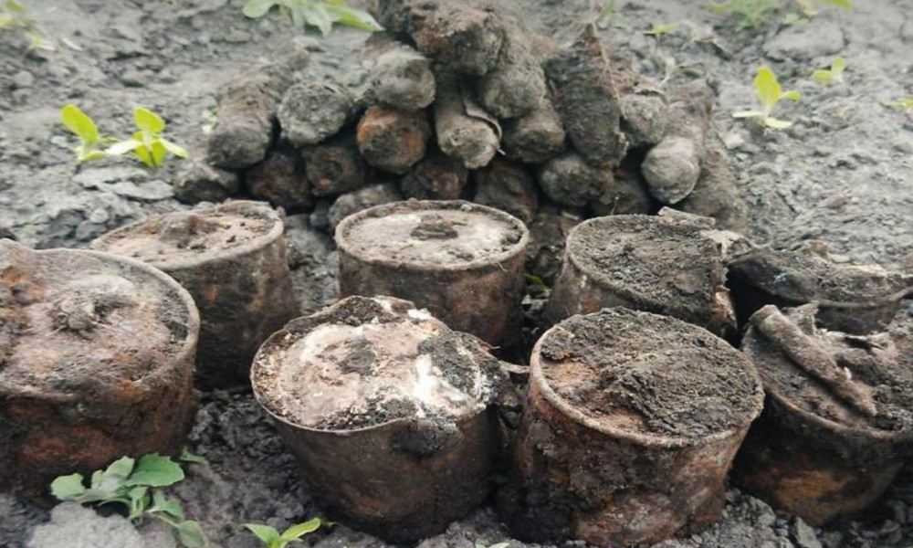 На Київщині сапери знешкодили 12 ручних протитанкових гранат - зображення