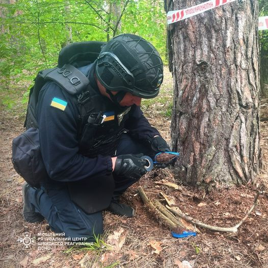 Вибухотехніки продовжують ліквідацію небезпечних боєприпасів, які знаходять жителі Київщини - зображення