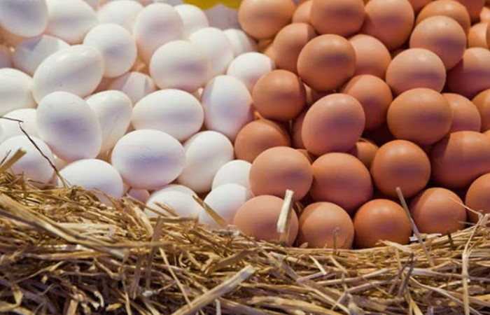 Євросоюз відновив мита на імпорт яєць і цукру з України - зображення