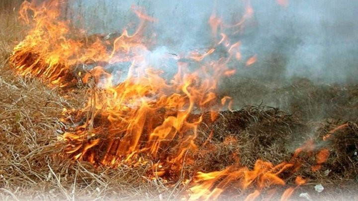 Ризик пожеж надзвичайно високий: мешканців області попереджають про небезпеку - зображення