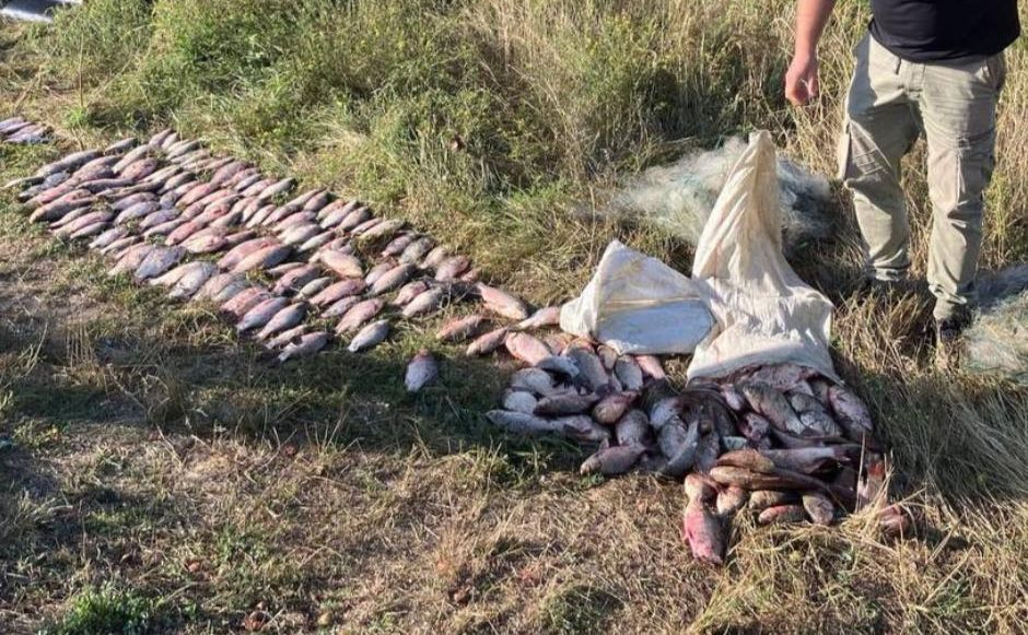 У Київській області браконьєр наловив риби на понад 300 тисяч (ФОТО) - зображення