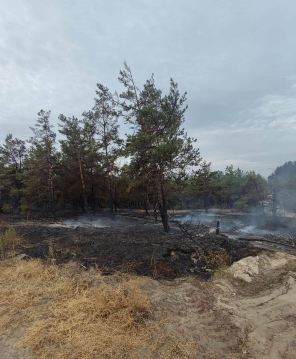 Поліція Київщини фіксує наслідки нічної атаки 5 вересня (ФОТО) - зображення