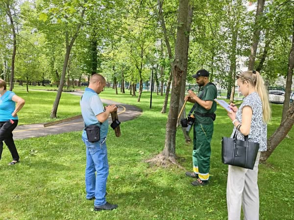 Зелений курс Ірпеня: від мрій до дій. Інтерв’ю з екоактивісткою Наталією Василенко - 3 - зображення