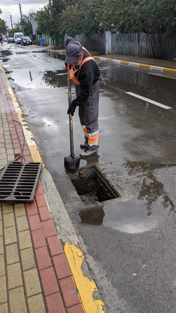 Зелений курс Ірпеня: від мрій до дій. Інтерв’ю з екоактивісткою Наталією Василенко - зображення